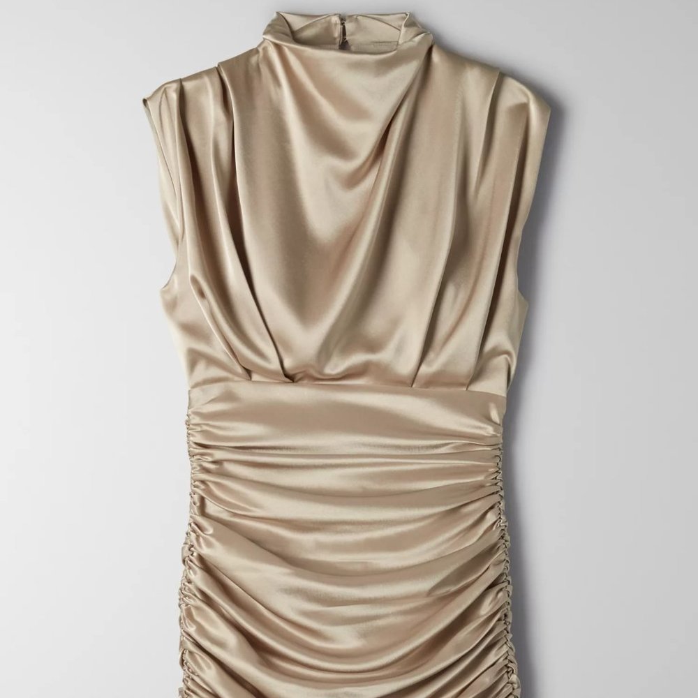 Aritzia Hasek Dress